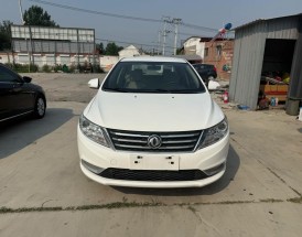 东风牌小轿车(东风牌小轿车前大灯笼多少钱)