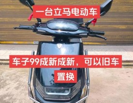 十大名牌电动车前十名,十大名牌电动车排名立马