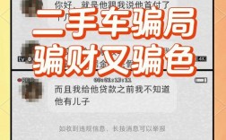 上海二手车最新骗局,上海二手车骗局110不管吗