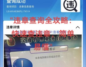 山西省交通违章查询 山西交通违章在线查询