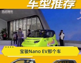 新能源汽车5万以下的车／新能源轿车5万以下