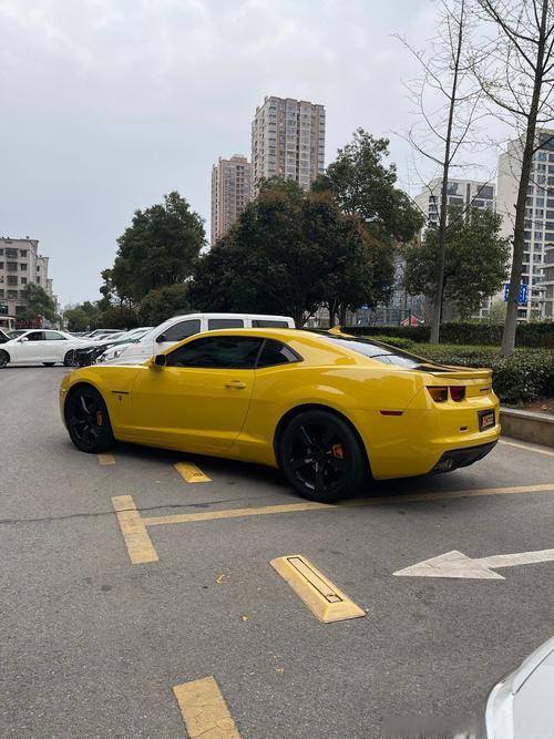 科迈罗大黄蜂买不到了吗(科迈罗大黄蜂落地价)