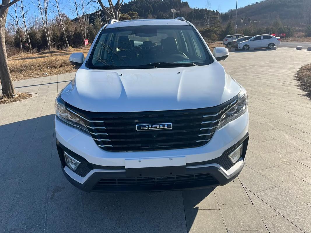 比速t5报价及图片(比速t5报价及图片2017年)