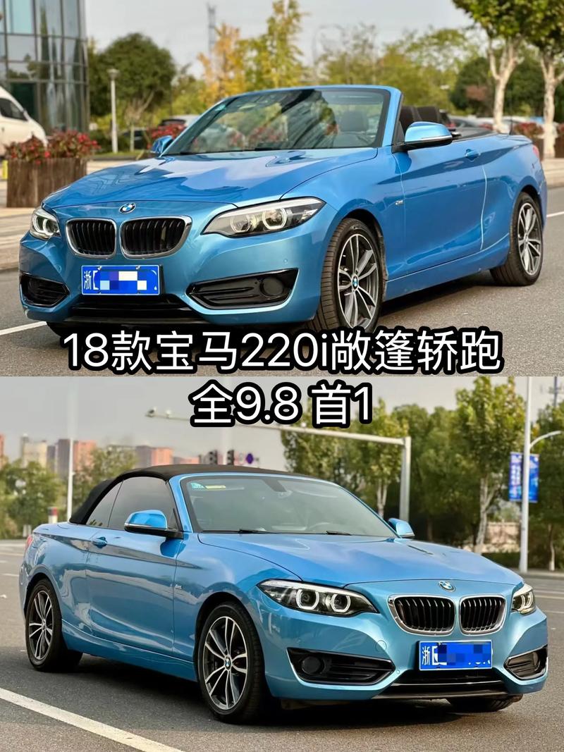 宝马单门跑车图片和价格(宝马单开门轿跑价格及图片)