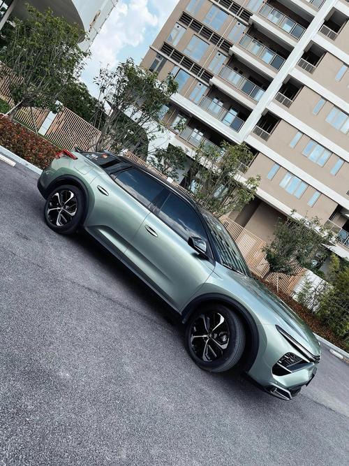 开雪铁龙的人基本是懂车的人/开雪铁龙的人基本是懂车的人吗