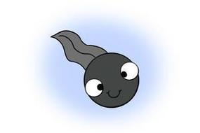 小蝌蚪图片卡通可爱简笔画(小蝌蚪图片卡通可爱高清)