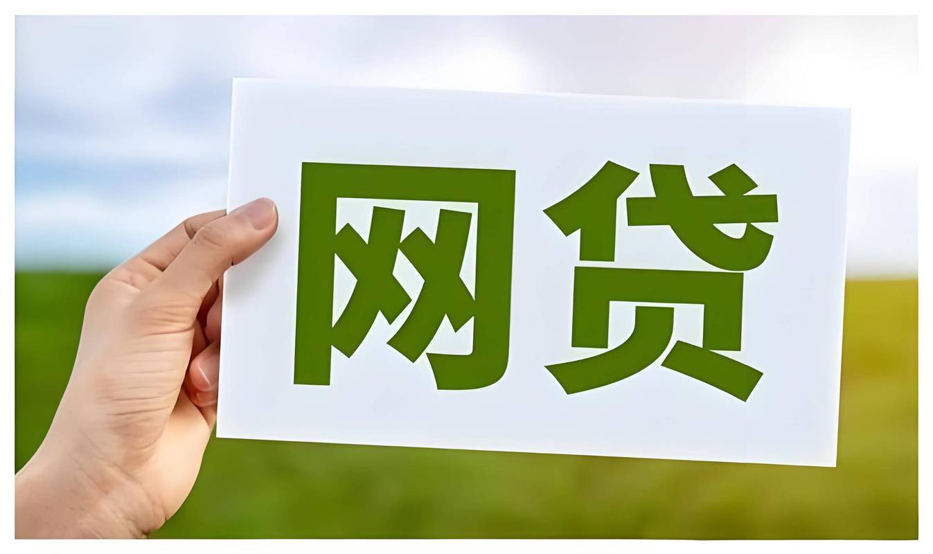 车贷网(浙江车贷网)